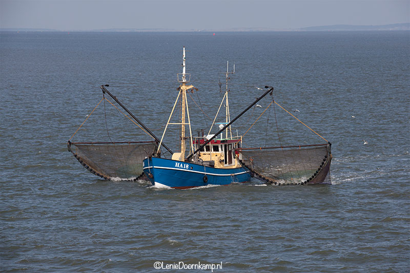 20140505_vissersboot