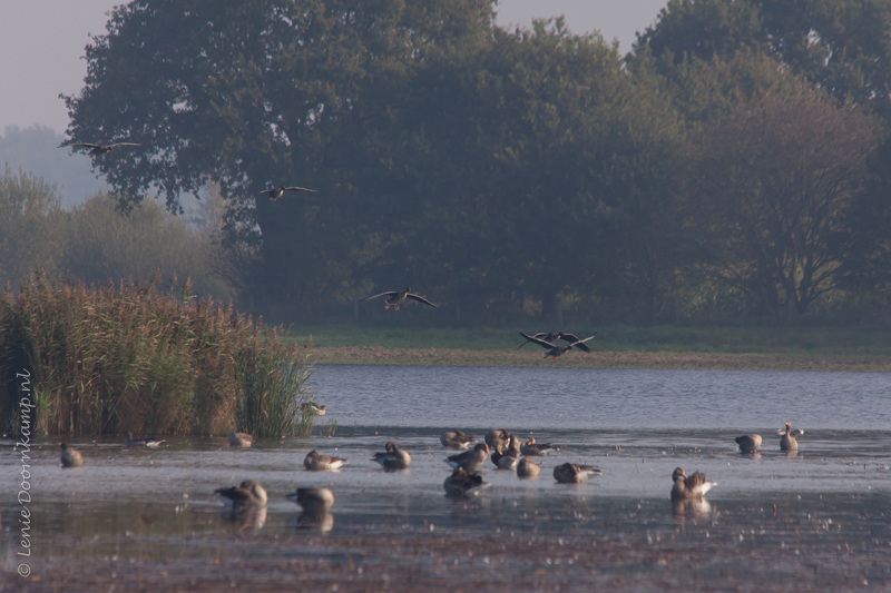 20140928-VHstukken1