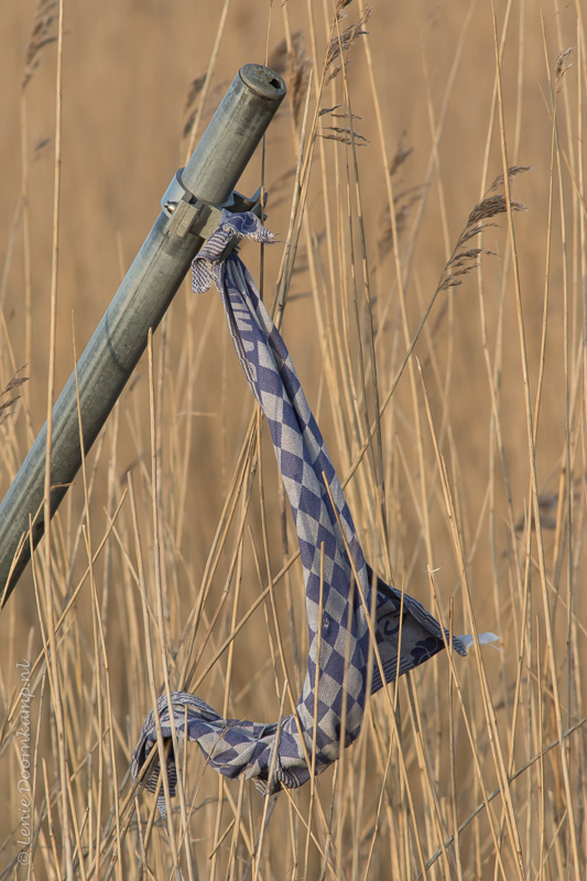 20150227-doek