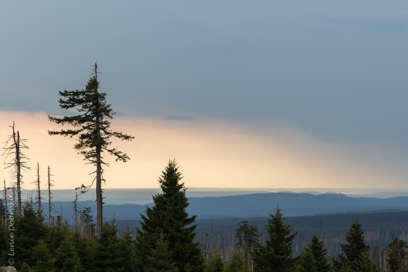 20150512-Brocken-8-2