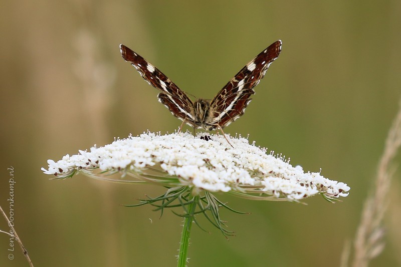 20160725-landkaartje