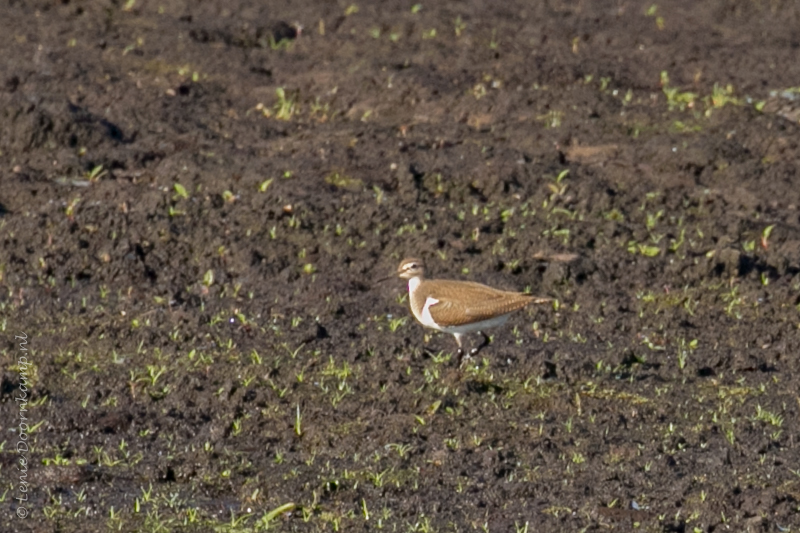 20160824-oeverloper