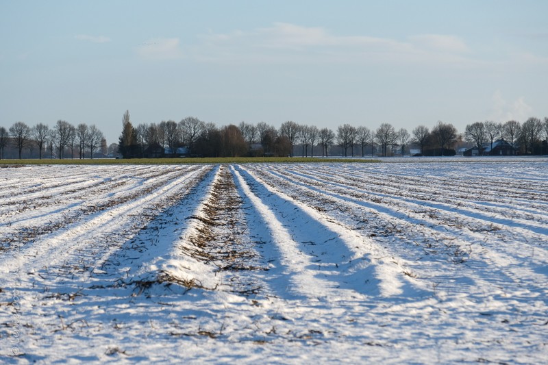 Eerste Exloërmond 