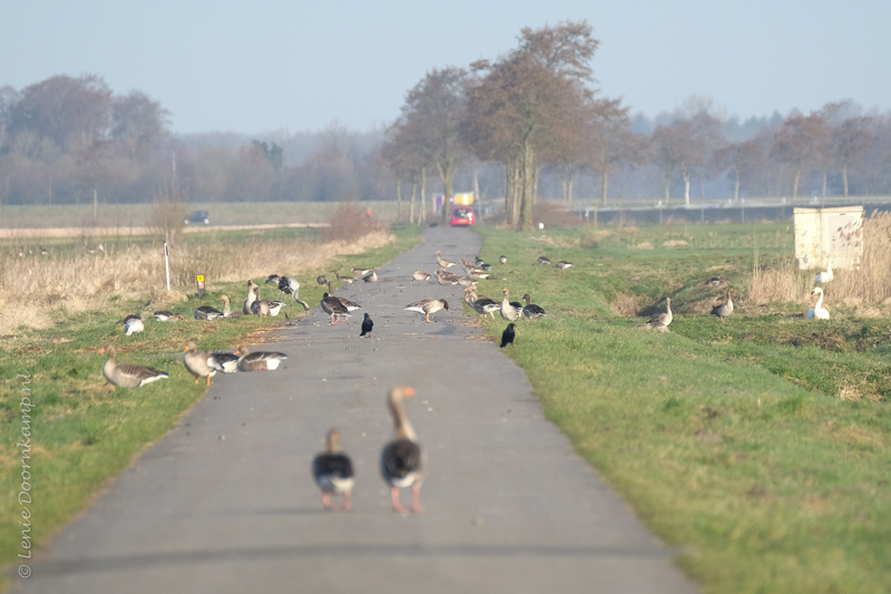 20170316-zoekplaatje