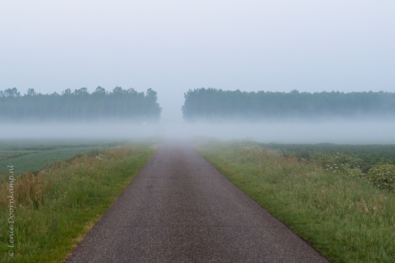 20170529-mist