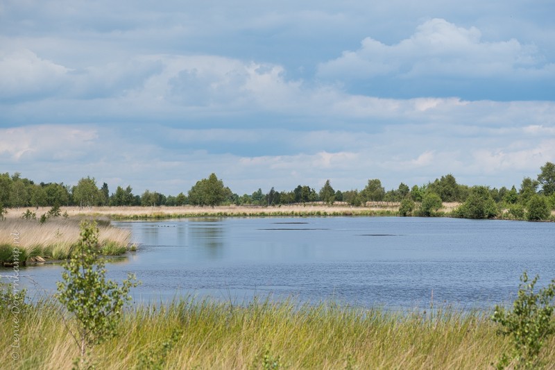 Bargerveen, 14:30 uur