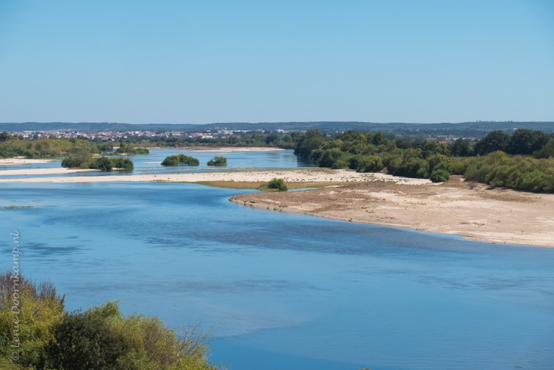 Rio Tejo