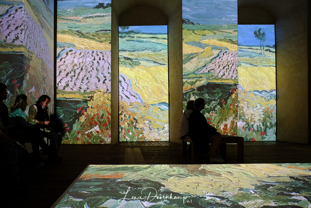 Meet Vincent van Gogh Experience